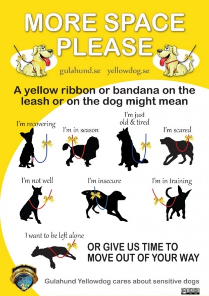Yellow-Ribbon-Infographic
